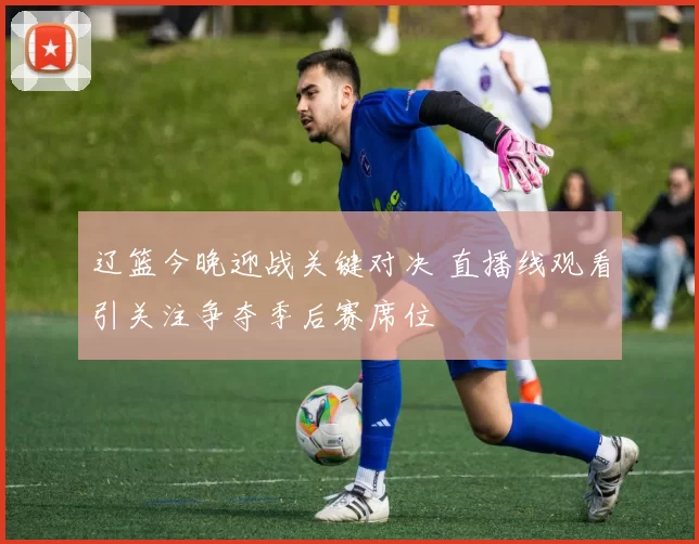 辽篮今晚迎战关键对决 直播线观看引关注争夺季后赛席位