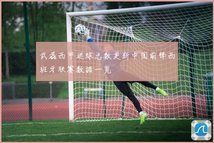 武磊西甲进球总数更新中国前锋西班牙联赛数据一览